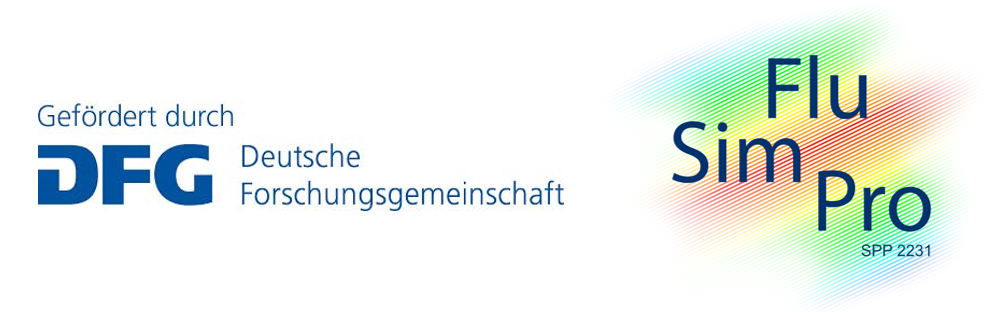 Logo des FluSimPro mit Logo des Förderers DFG daneben